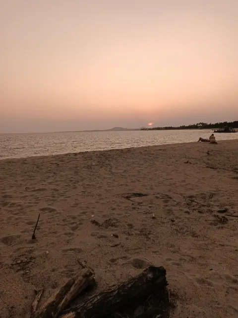 Palapa EMY image 2
