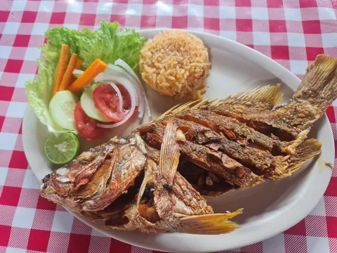 Palapa Domy image 1