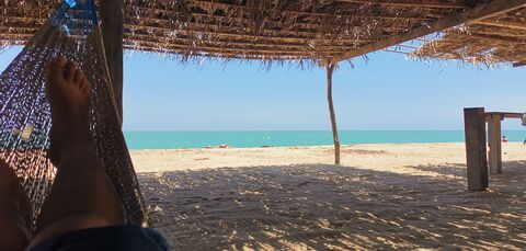Palapa Domy image 4