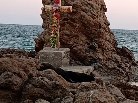 Palapa Domy image 6