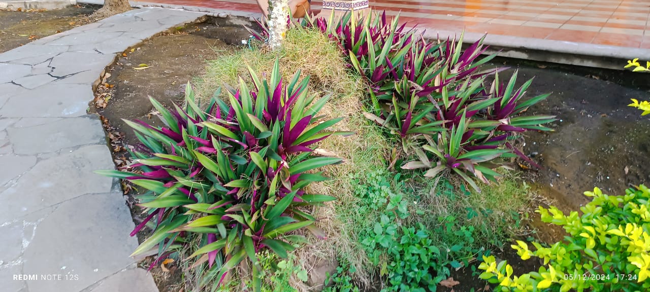 Restaurante El balcón Suc. Chilapan image 6