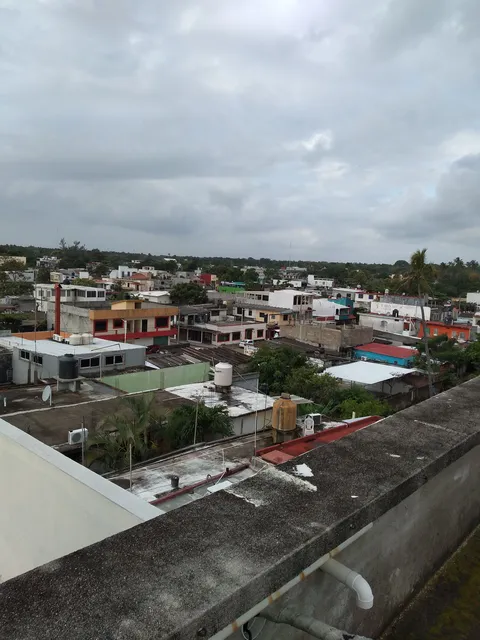 La Juvenil image 8