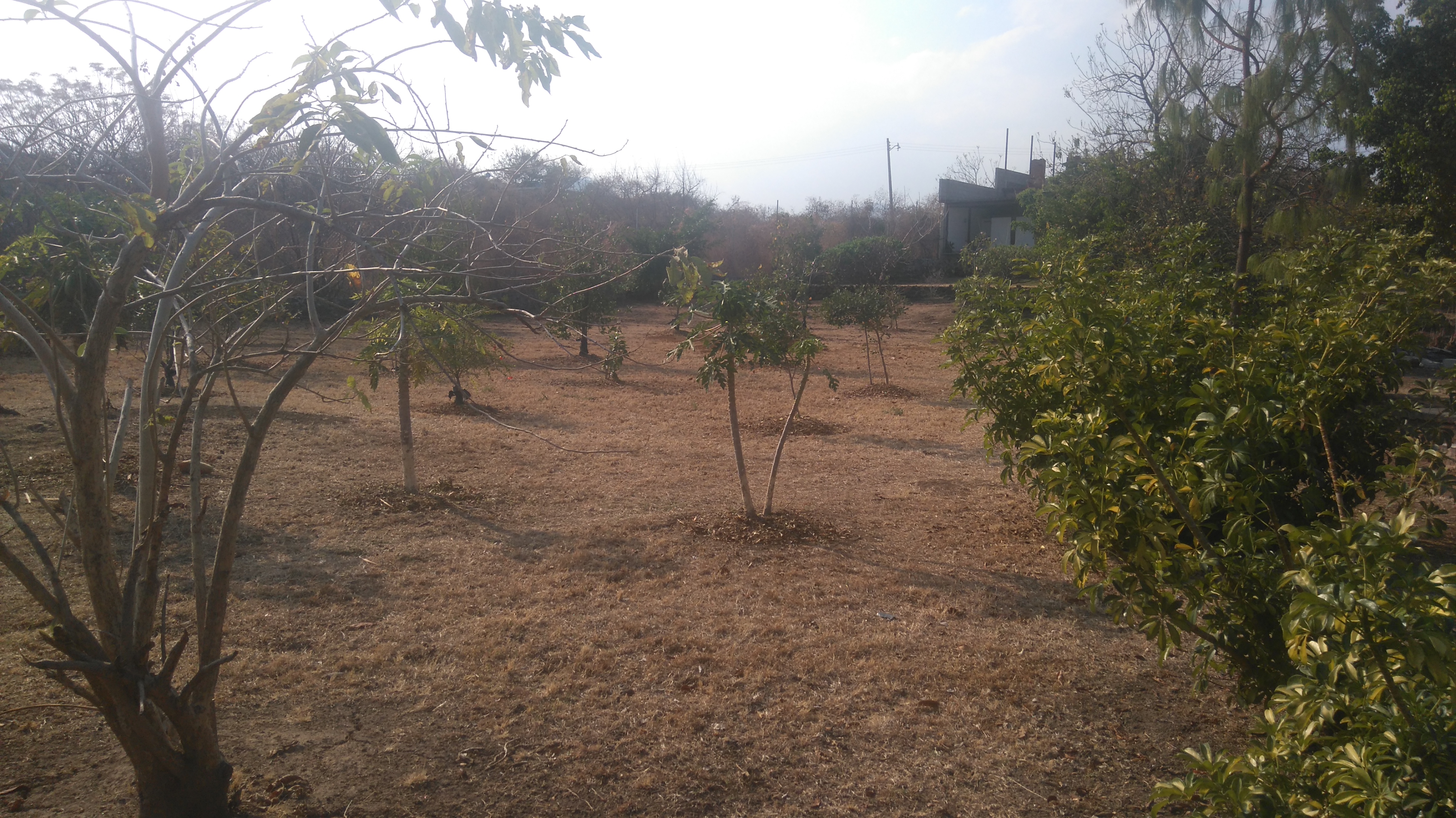 Casa Morelos image 9