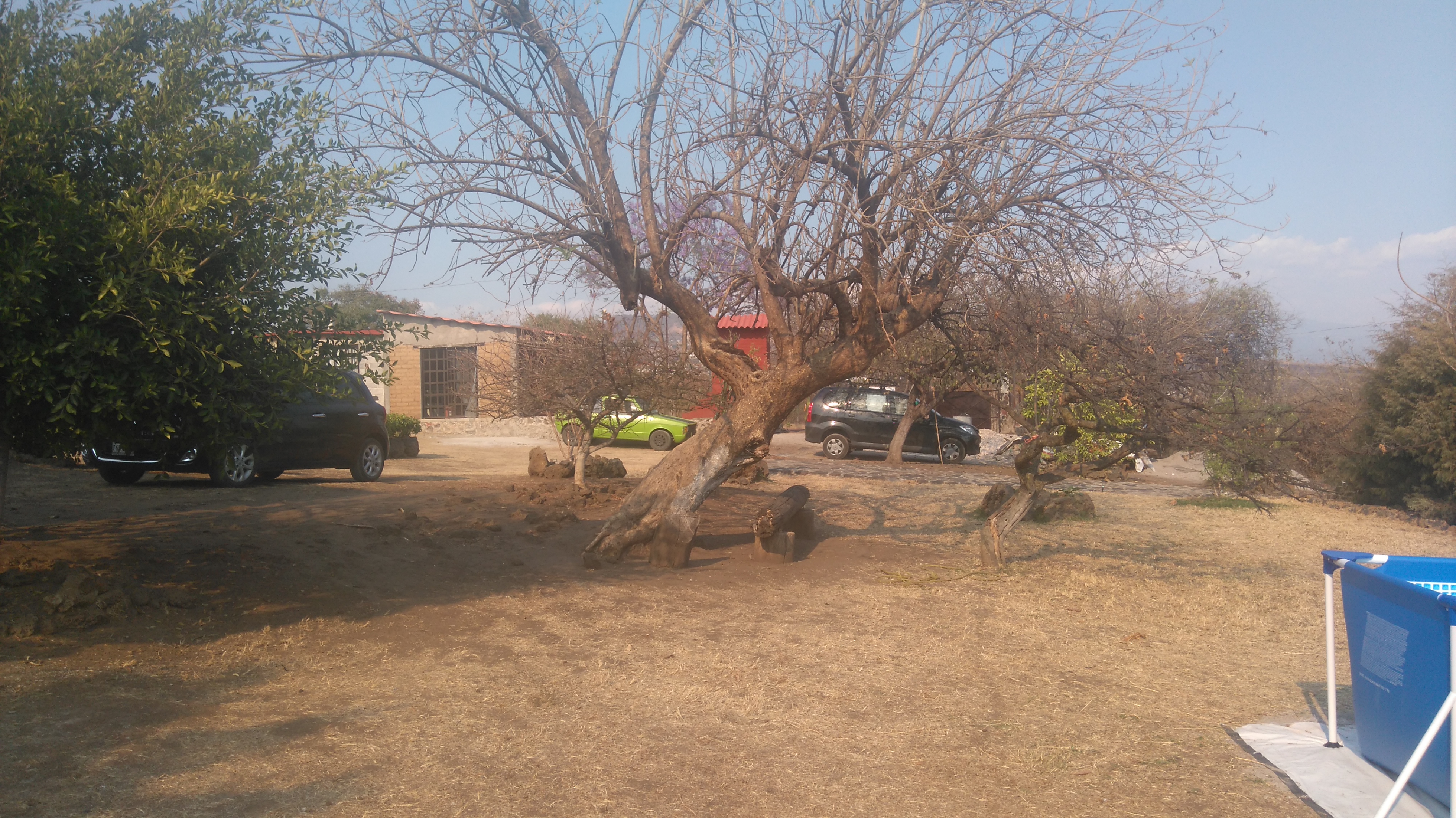 Casa Morelos image 10