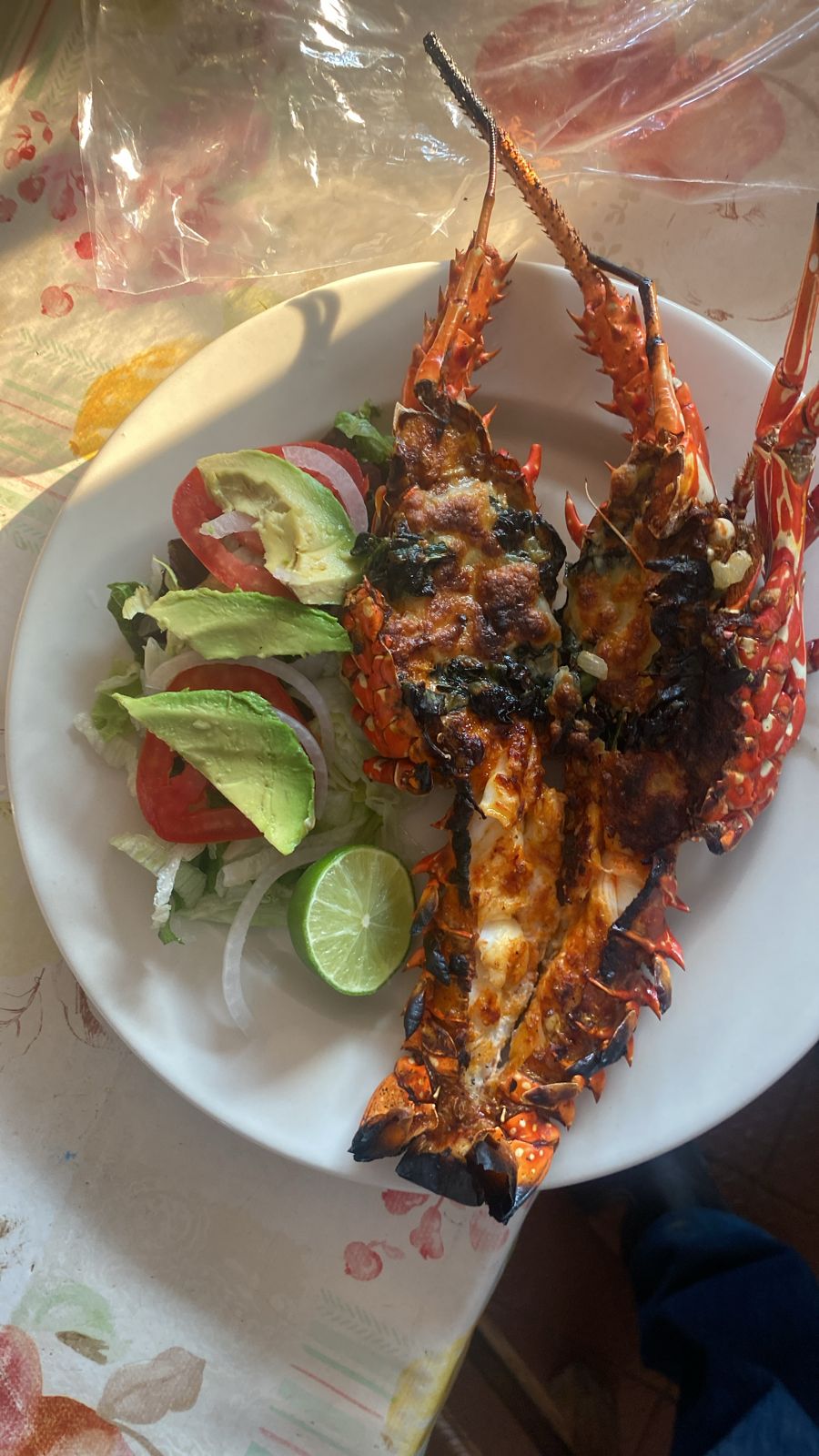 La cabaña de tony image 8