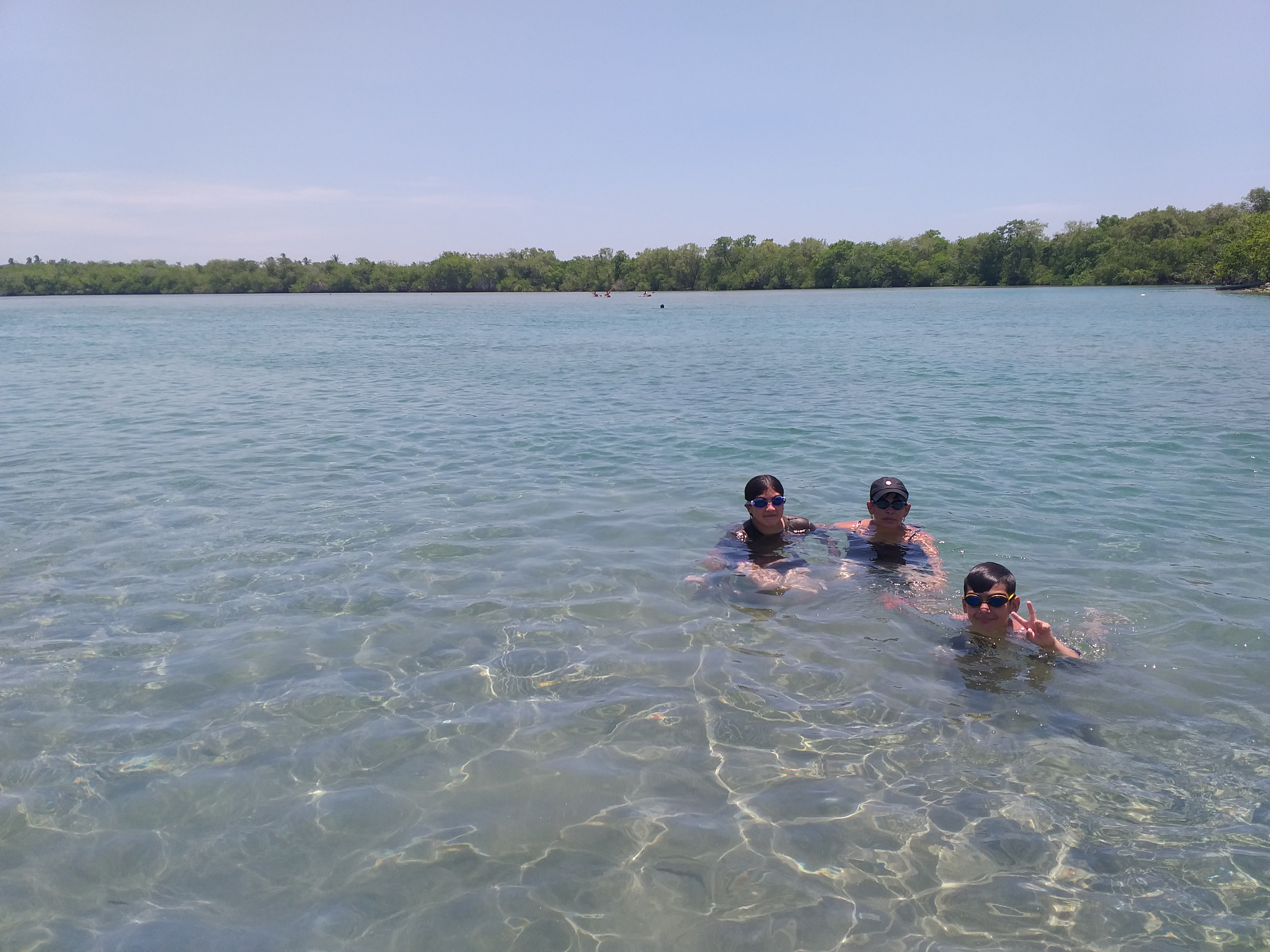 Vuelven las Gaviotas image 3