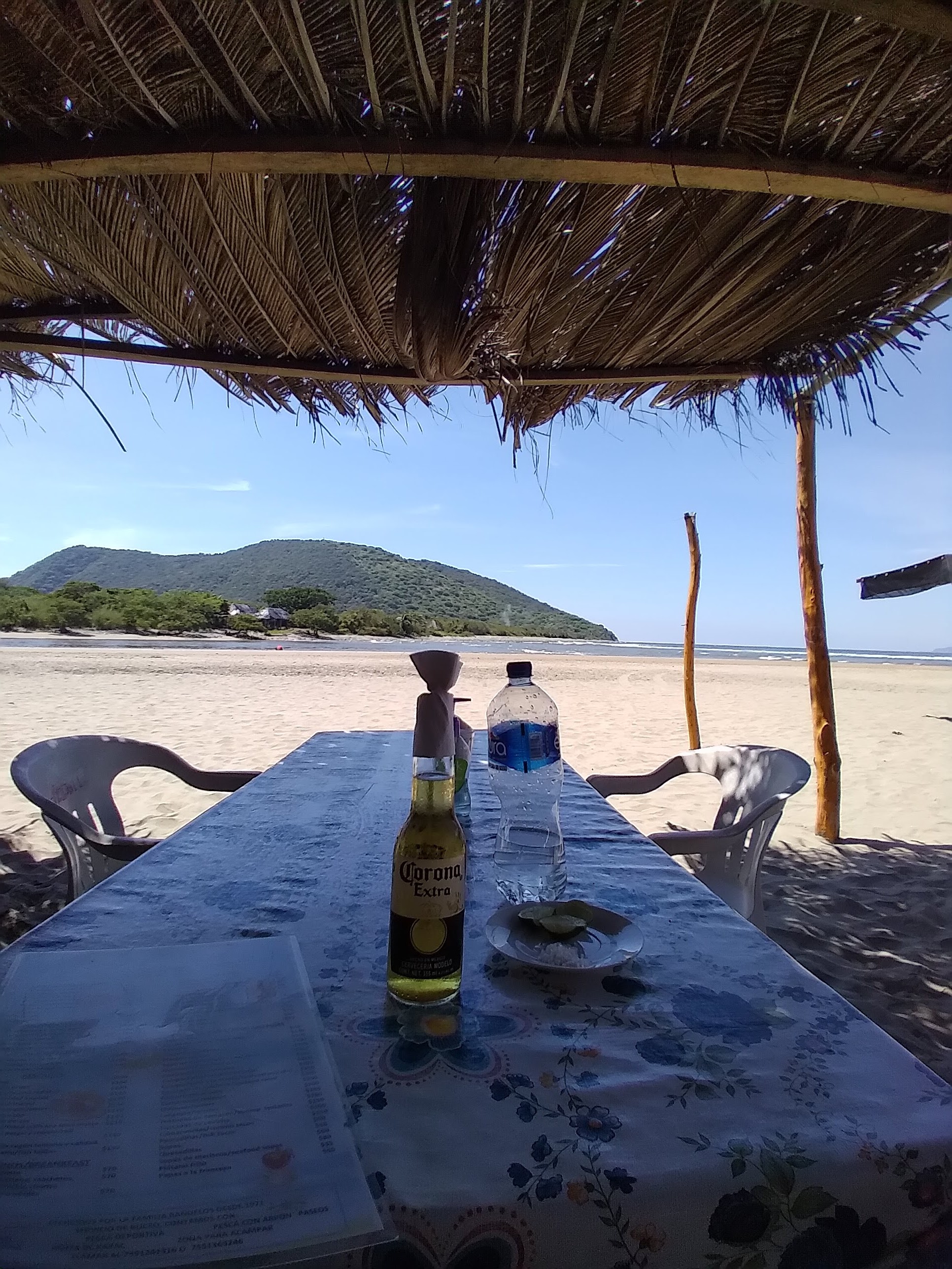 Vuelven las Gaviotas image 4