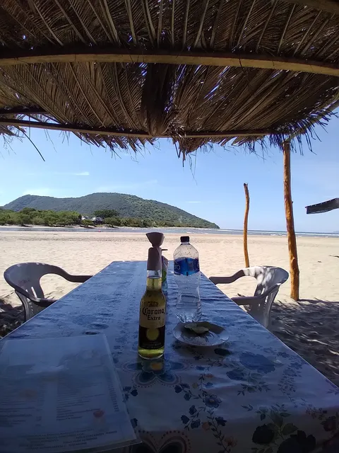 Vuelven las Gaviotas image 4