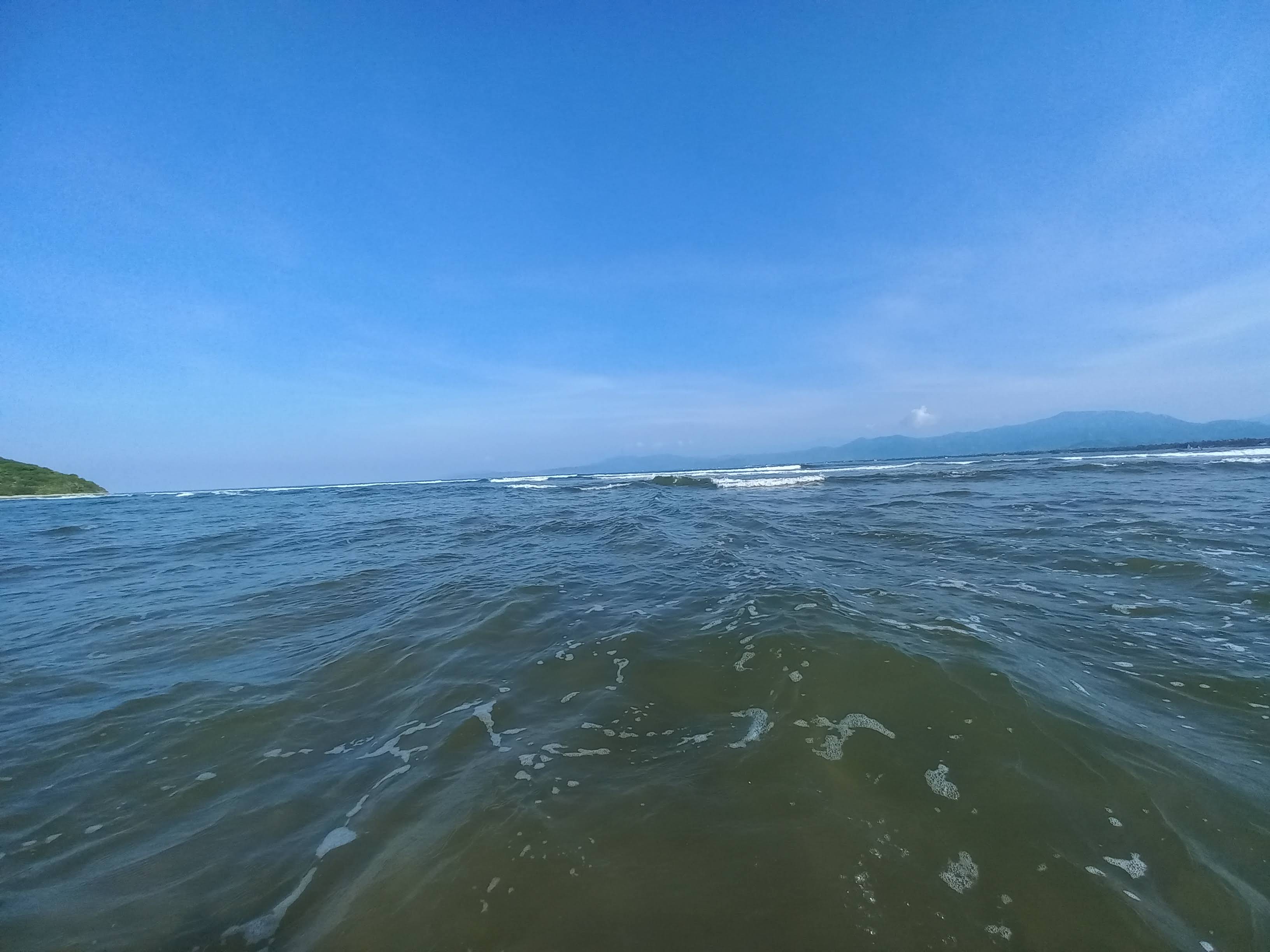 Vuelven las Gaviotas image 6