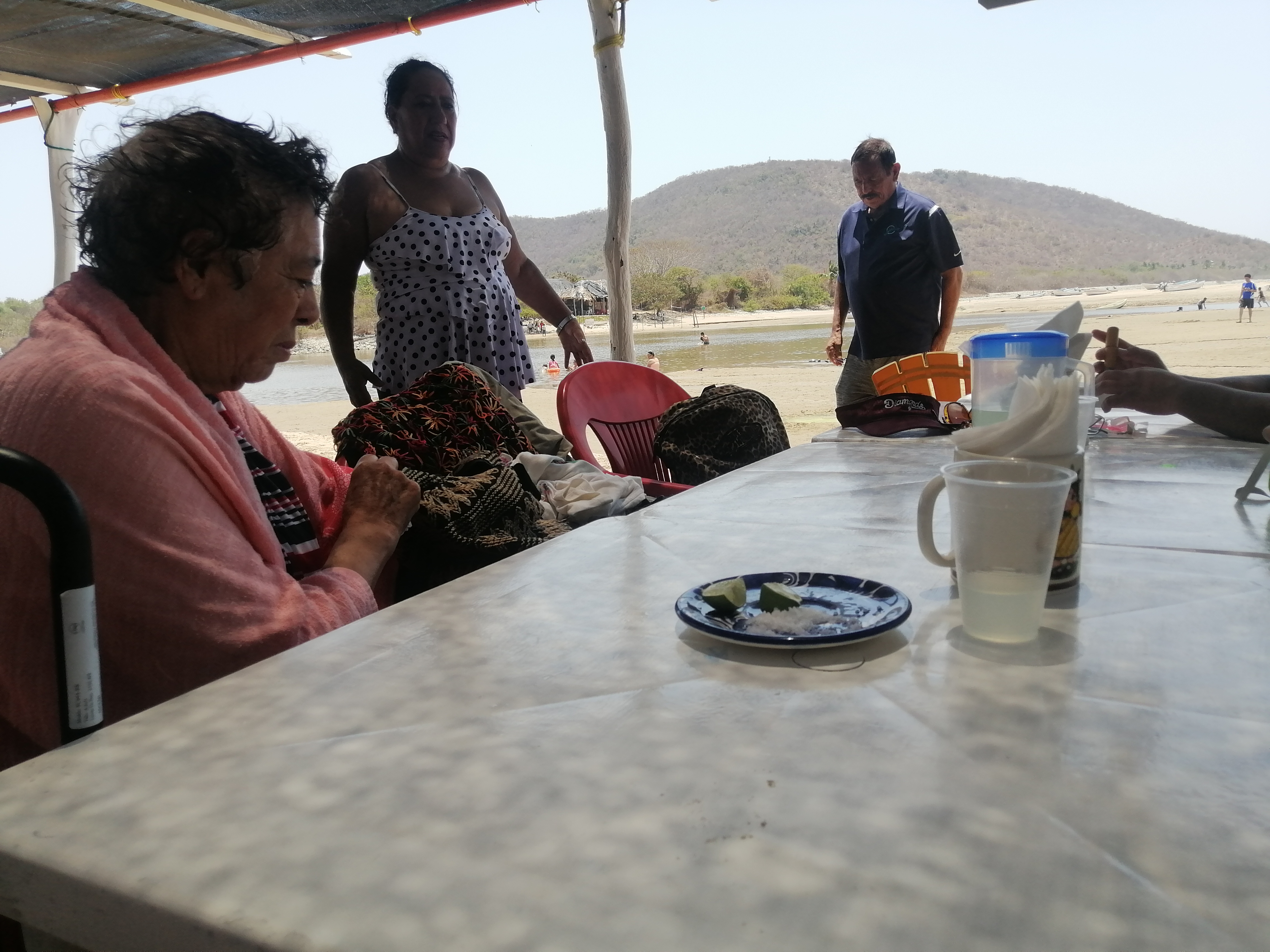 Vuelven las Gaviotas image 7