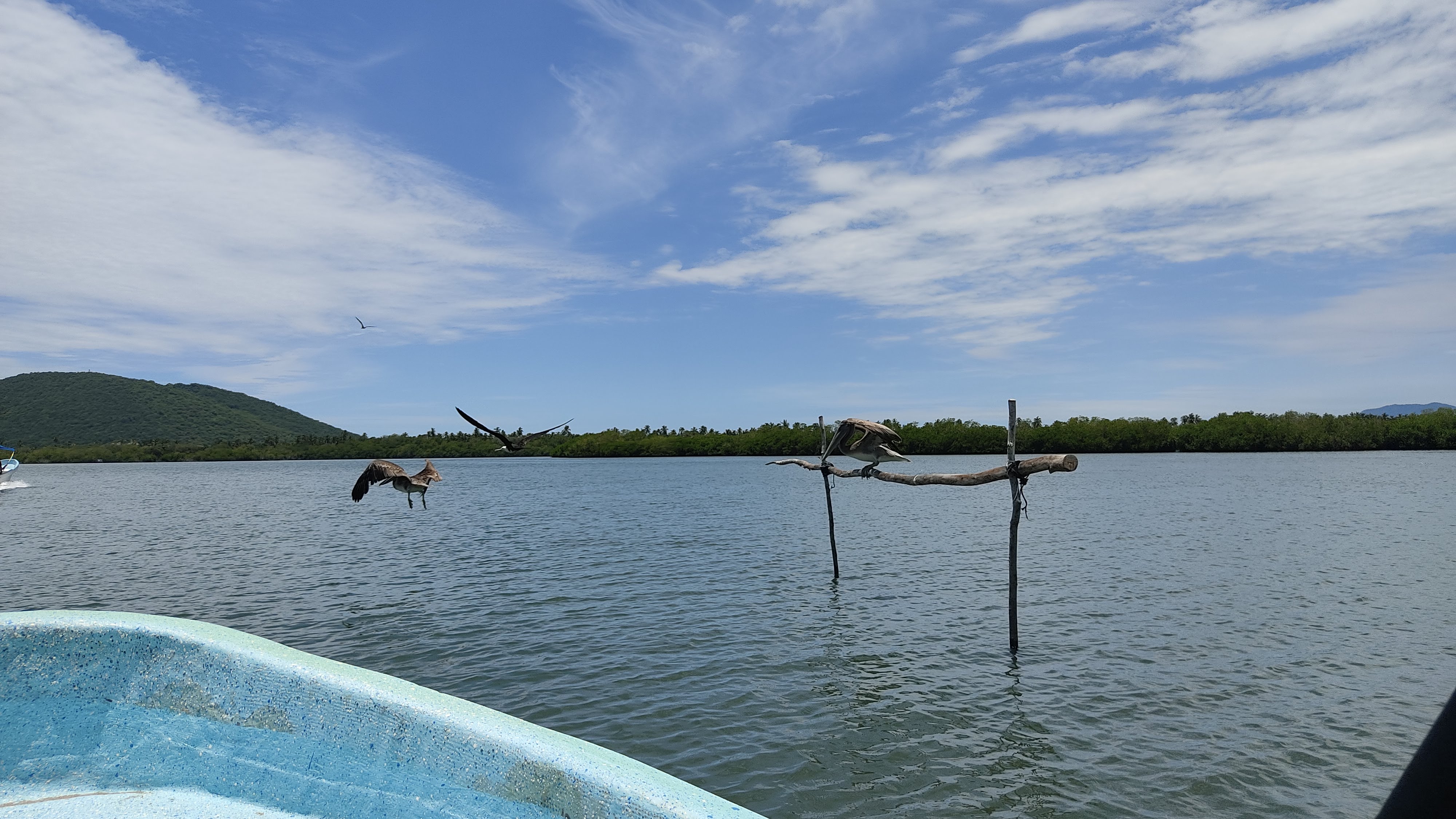 Vuelven las Gaviotas image 8