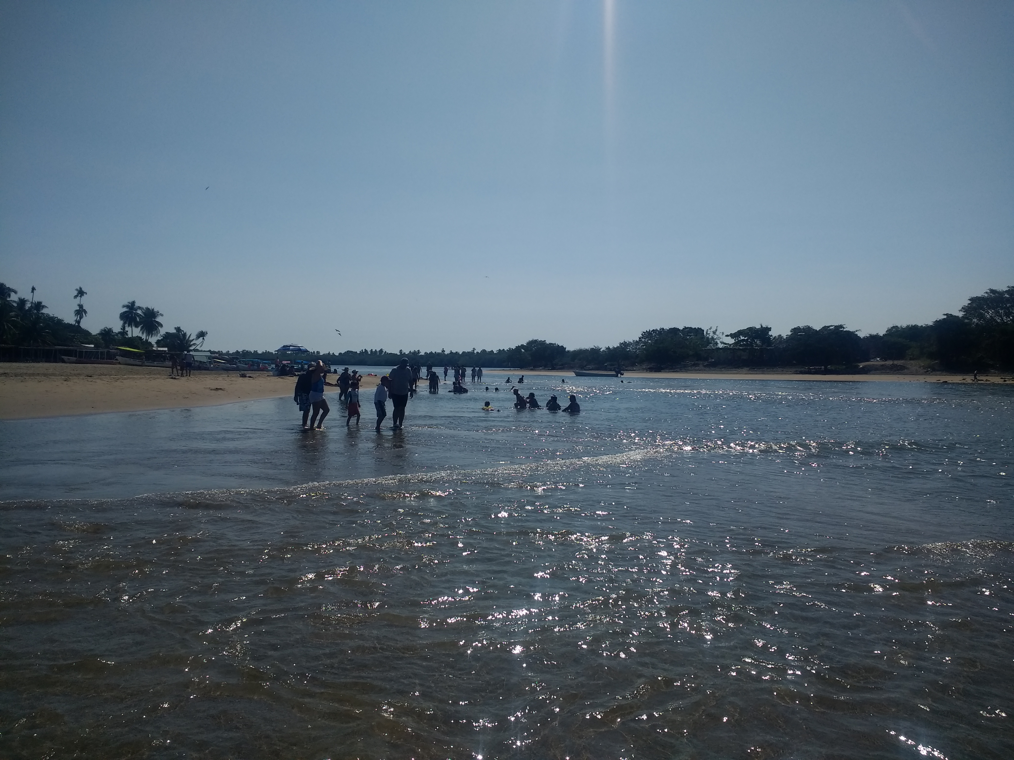 Vuelven las Gaviotas image 9