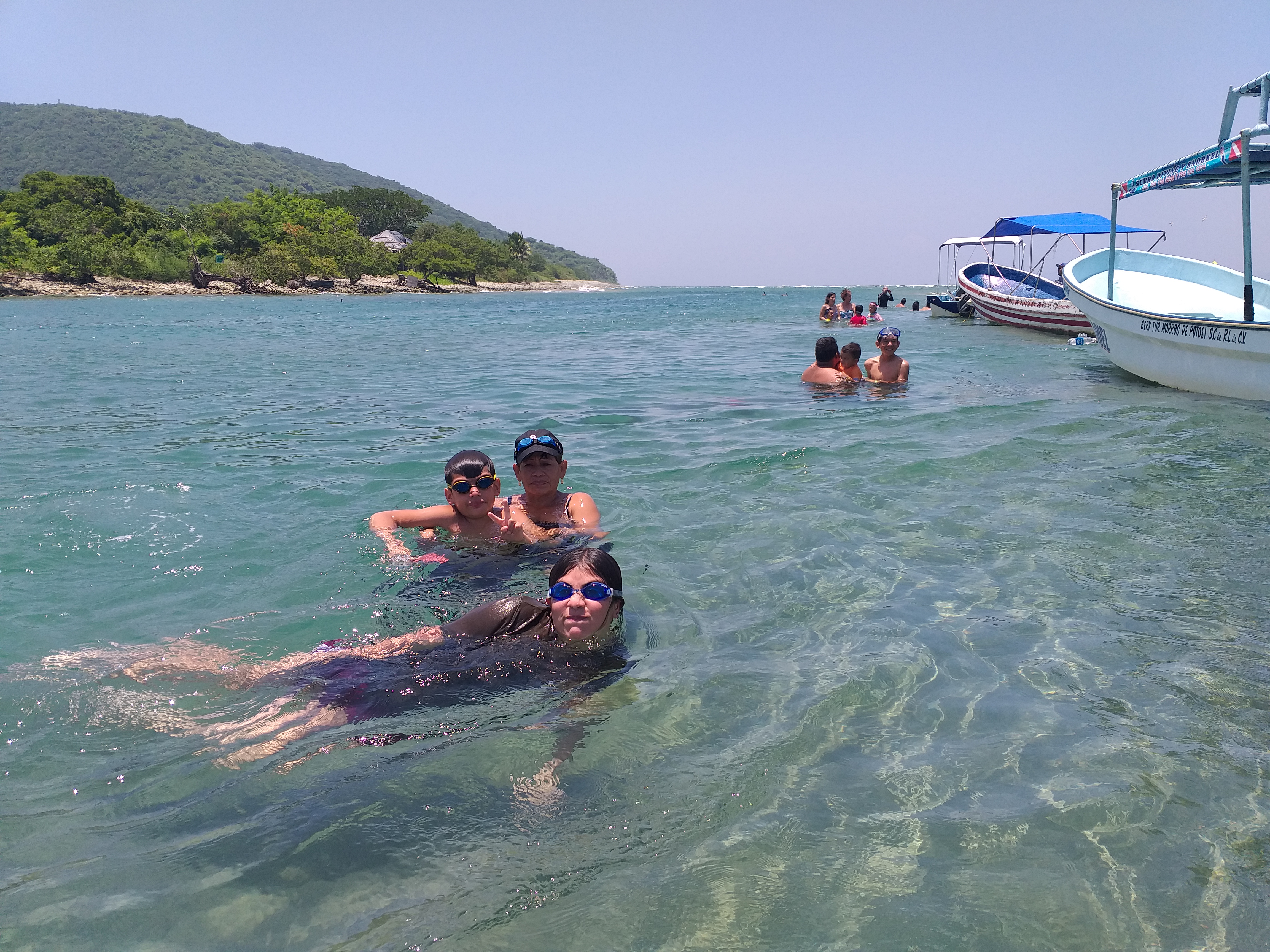 Vuelven las Gaviotas image 10