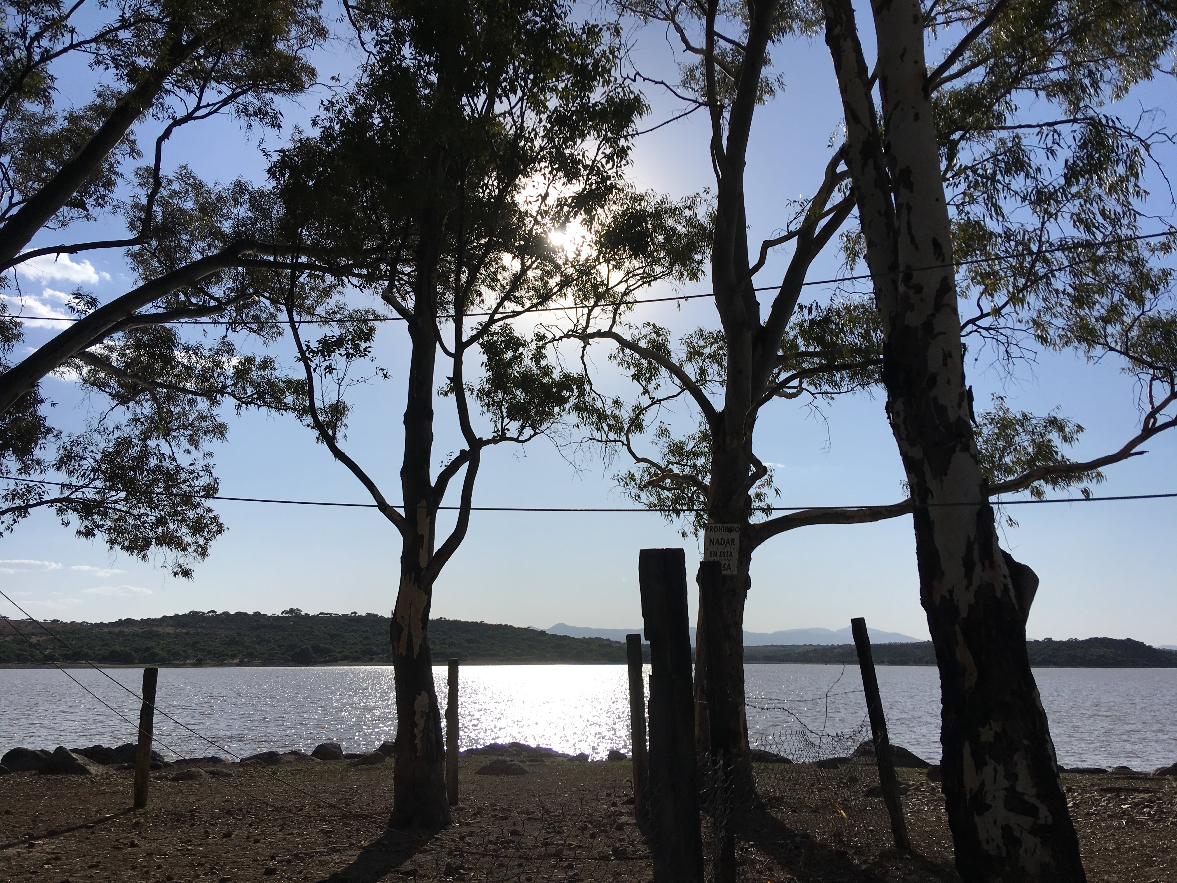 La Cabaña del Patron image 3