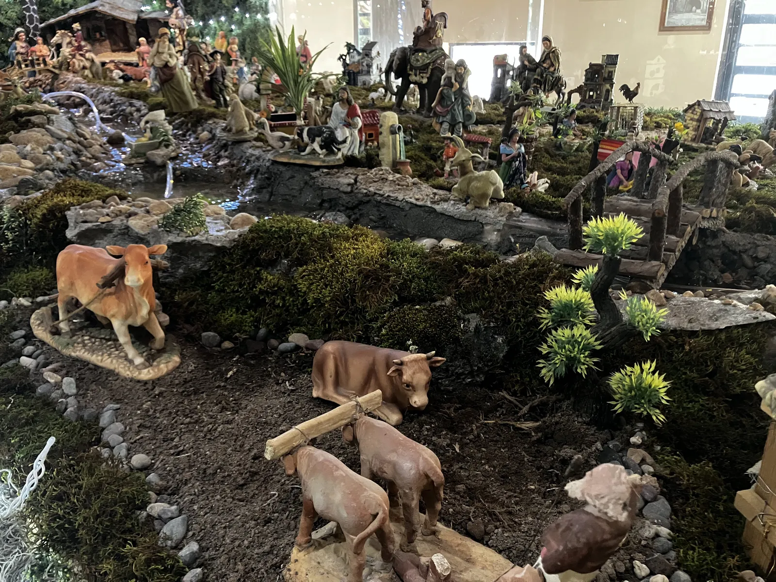 Rancho de Enmedio image 5