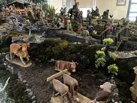 Rancho de Enmedio image 5