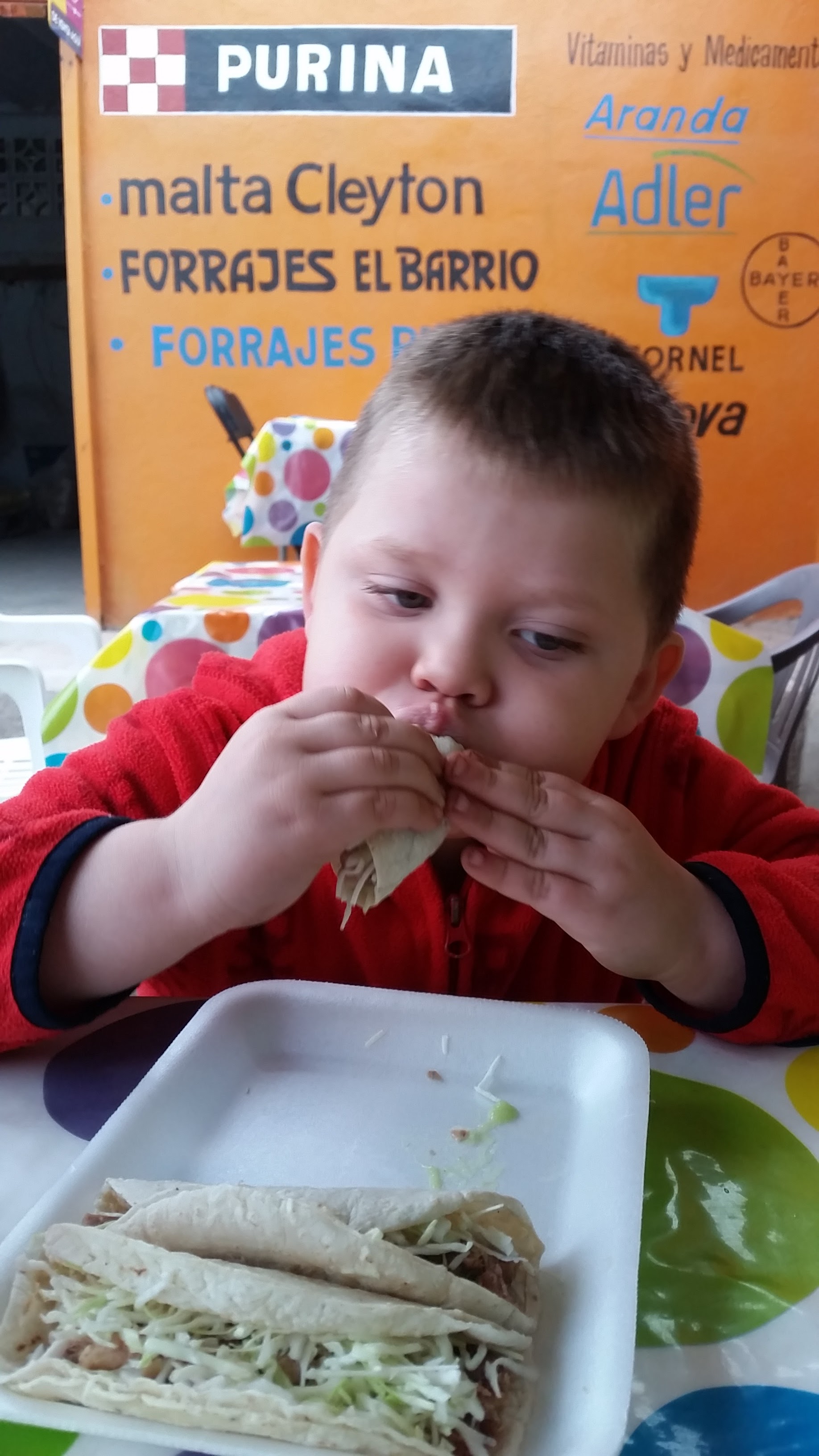 Tacos Julio's image 3