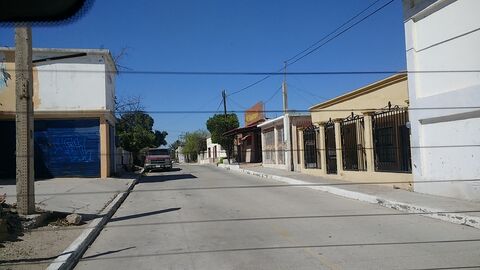 El mandarincito image 3