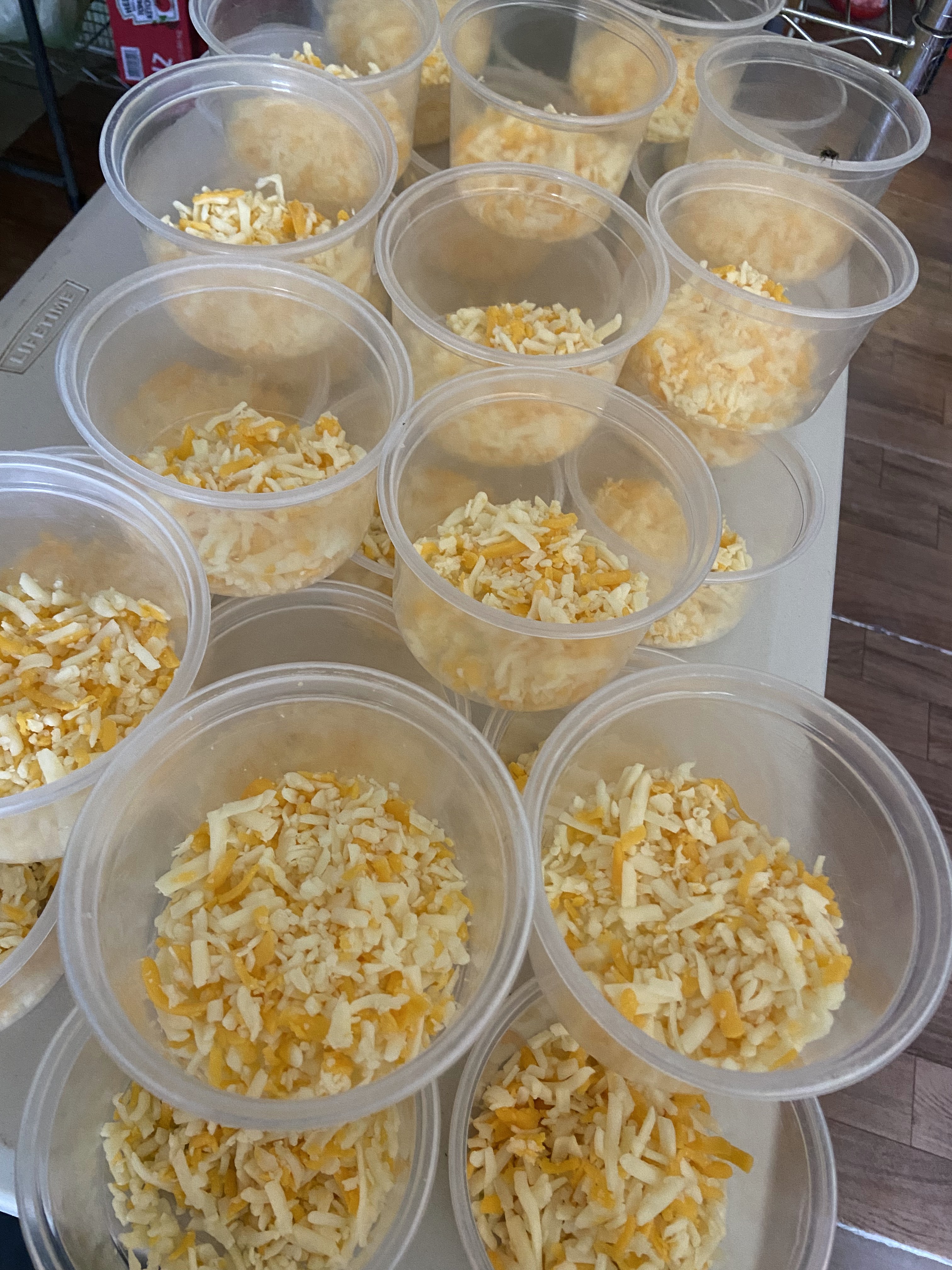 Tuscani pizzawings image 9