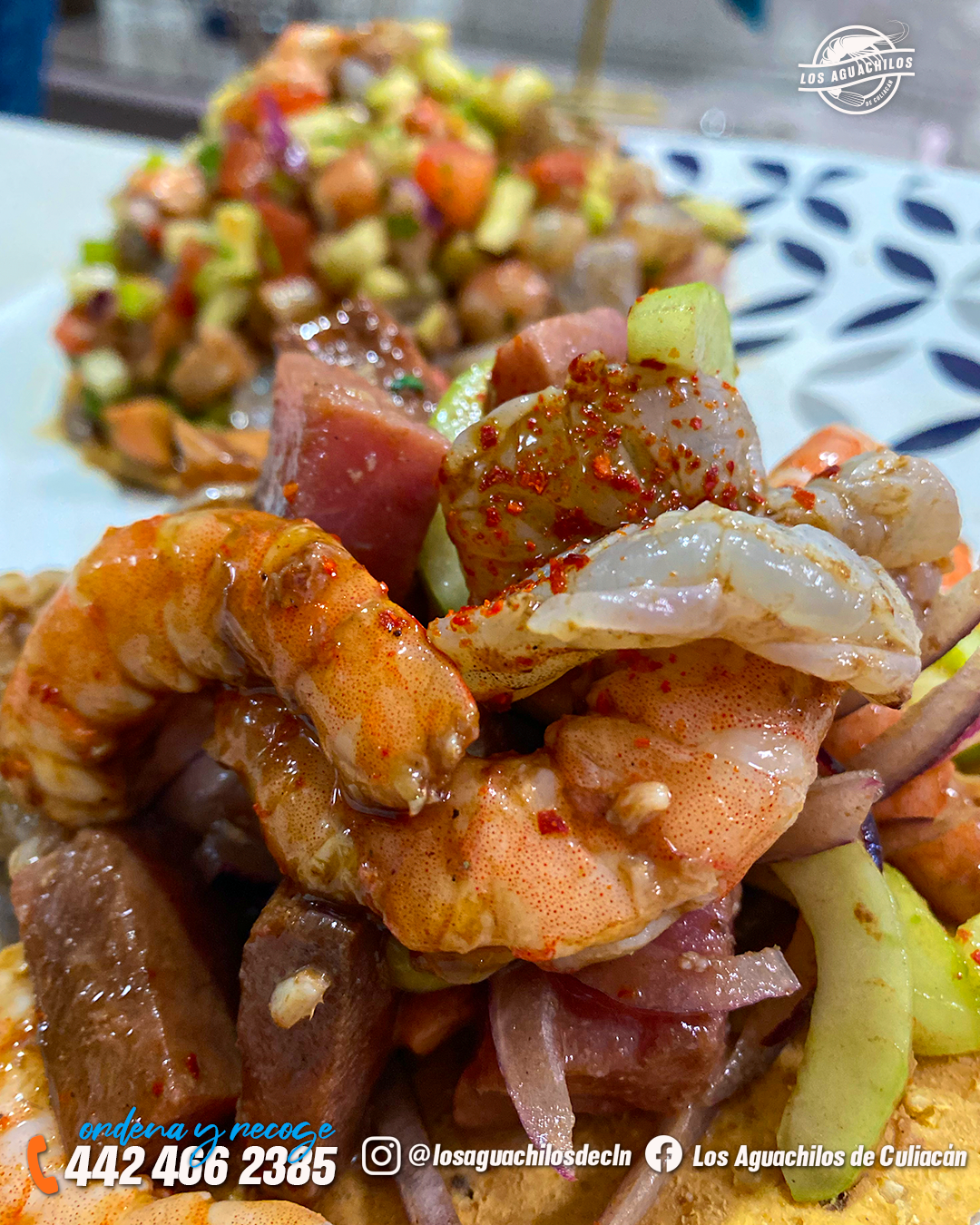 Los Aguachilos de Culiacán image 1