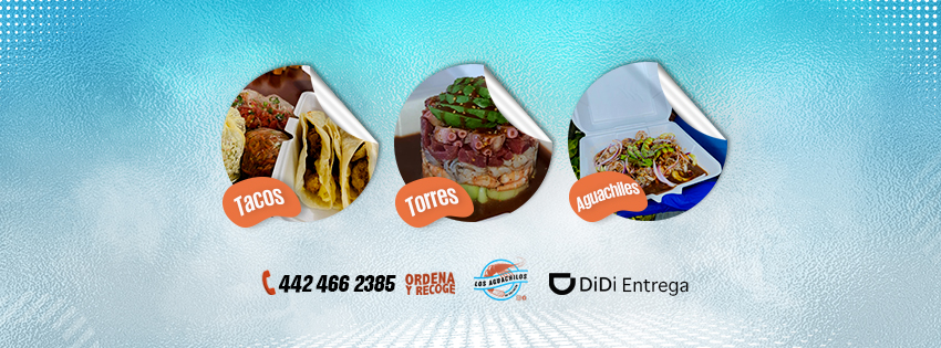 Los Aguachilos de Culiacán image 2