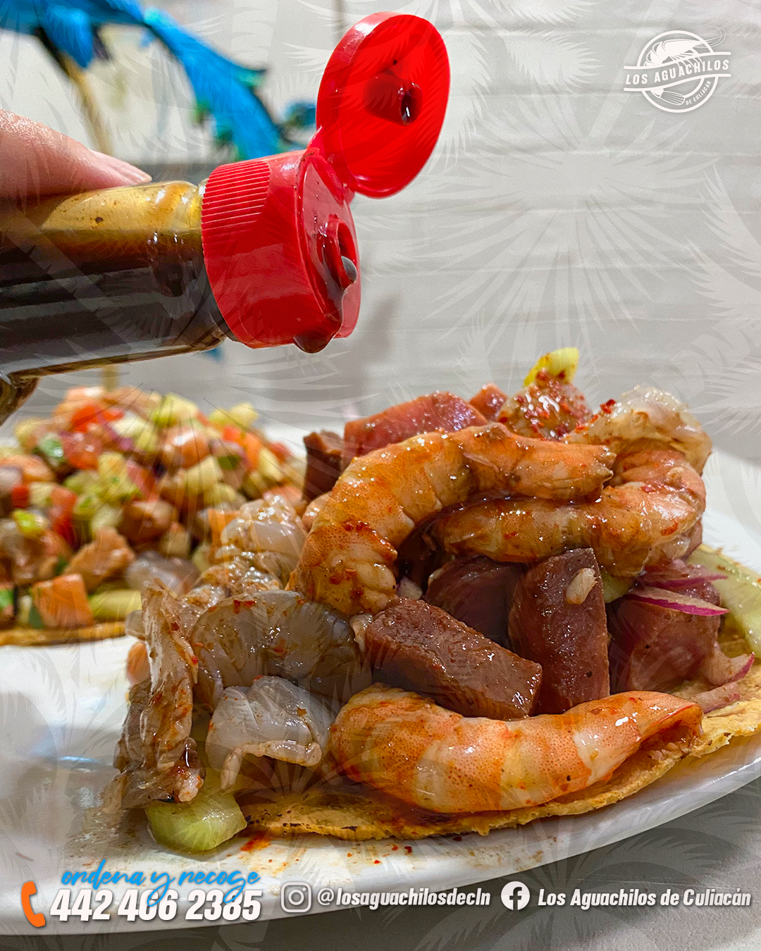 Los Aguachilos de Culiacán image 7