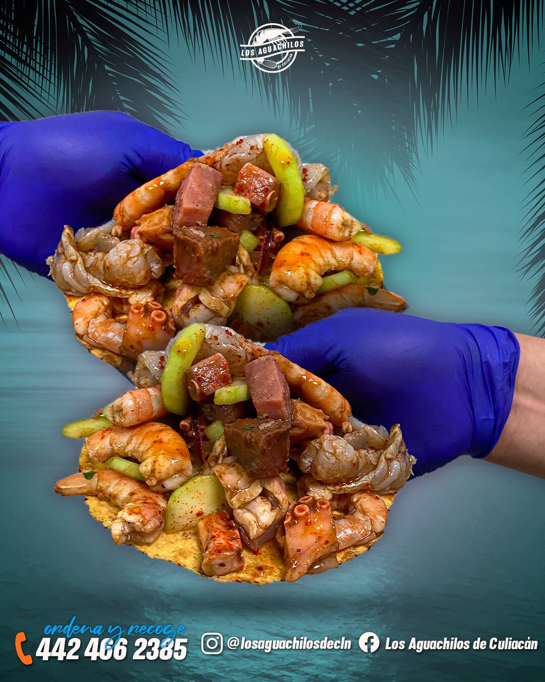Los Aguachilos de Culiacán image 9