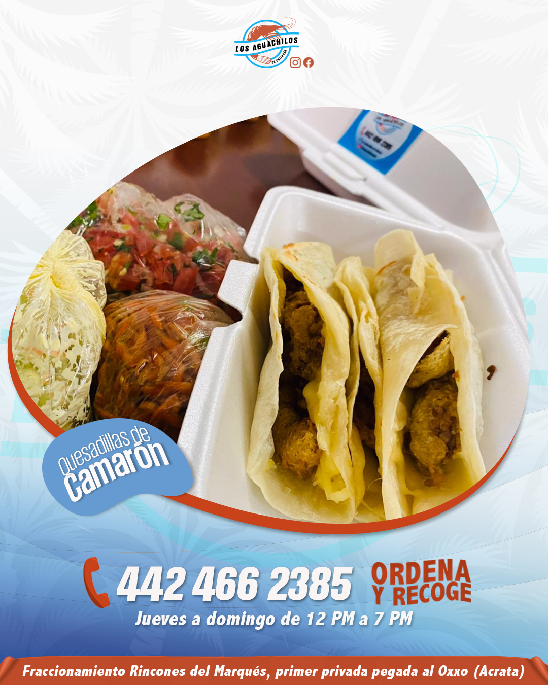 Los Aguachilos de Culiacán image 10