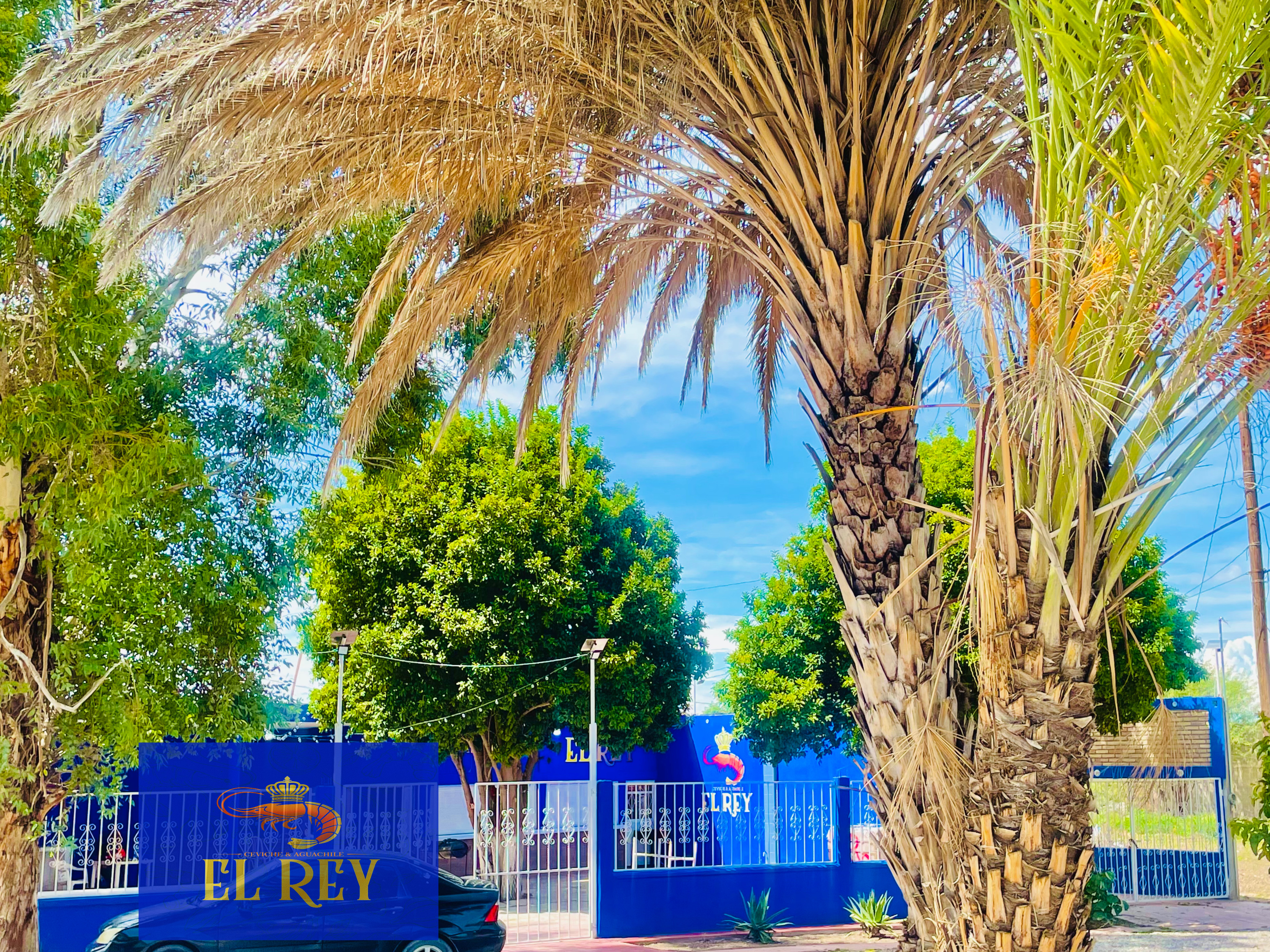 Ceviche y Aguachiles El Rey image 2