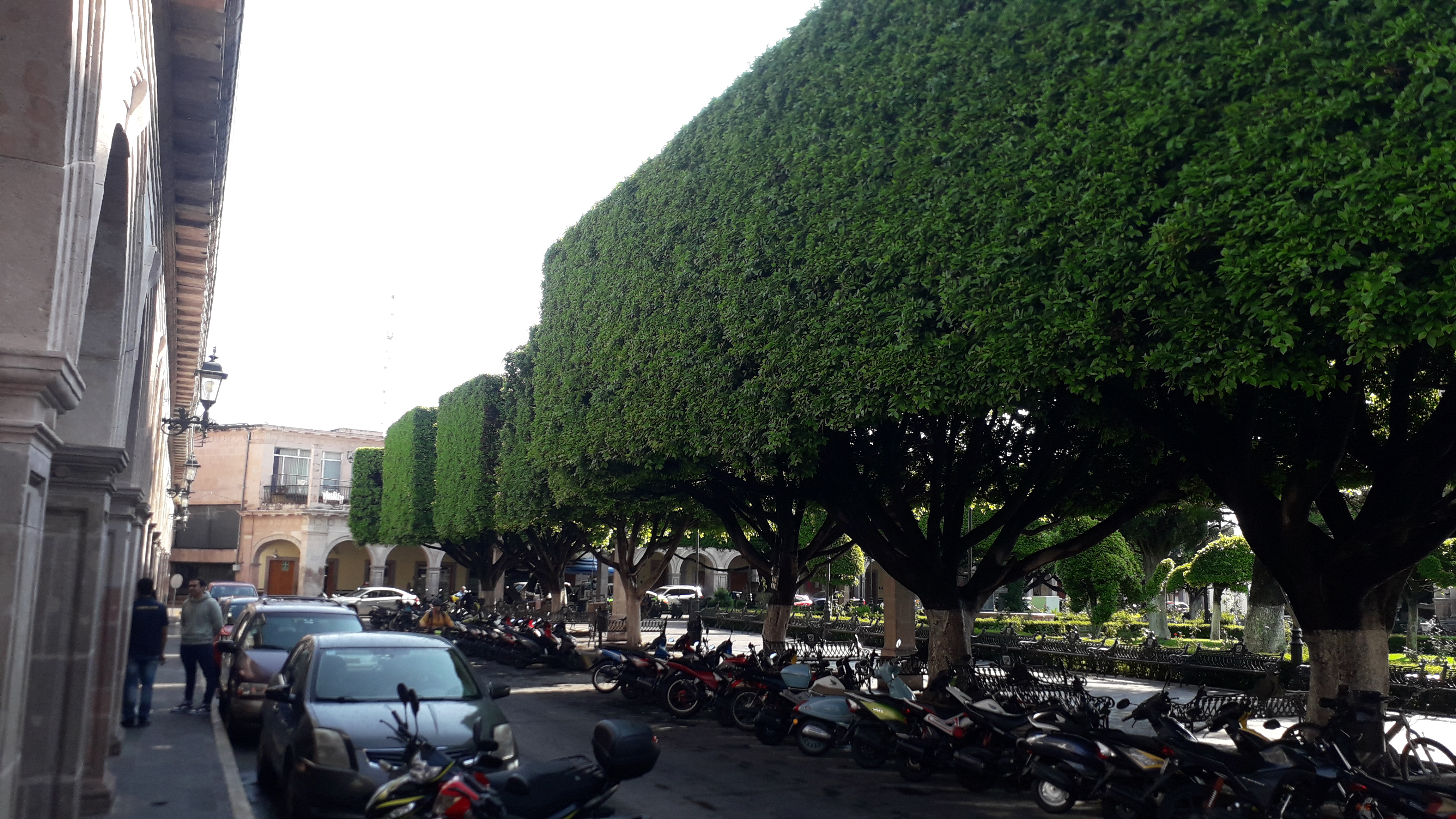 Restaurante Gio's image 6