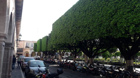 Restaurante Gio's image 6