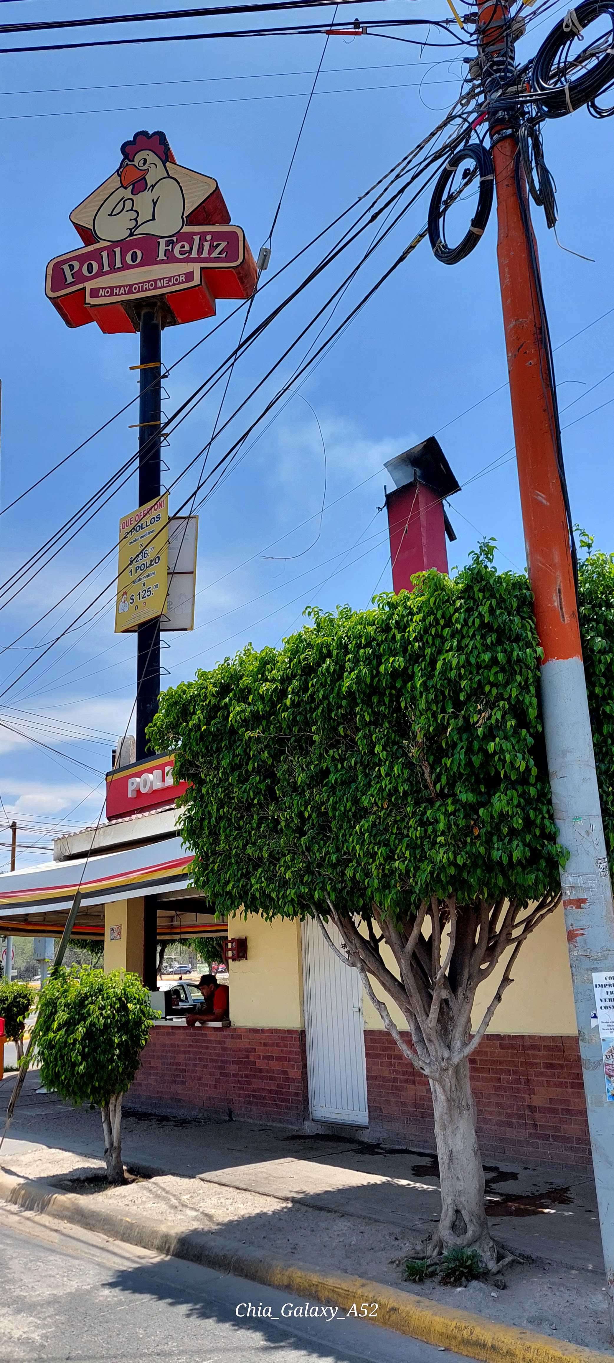 Pollo Feliz Express, Suc. Villas de San Juan image 1