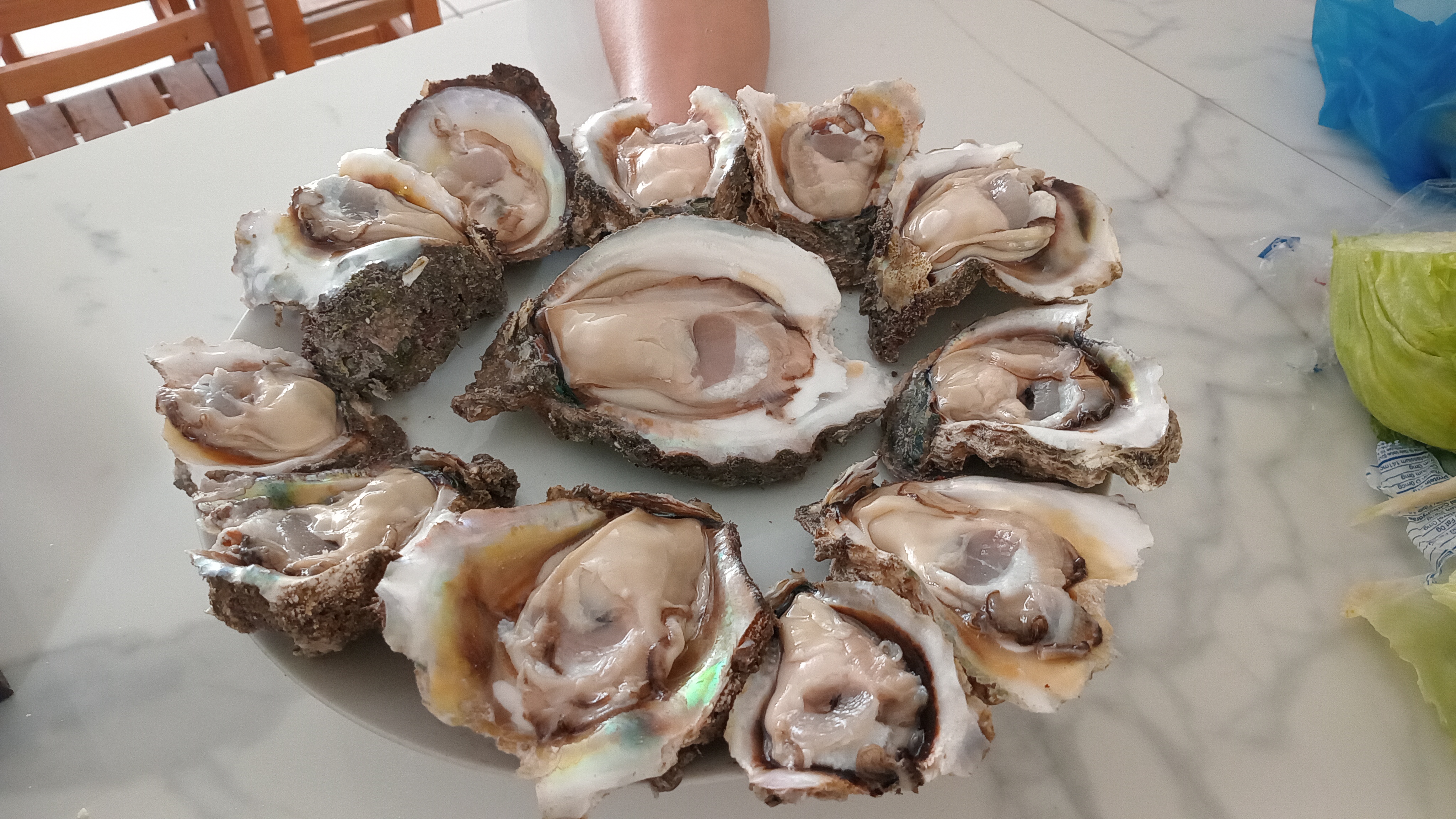 Mariscos los Ostioneros image 3