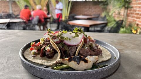 Tacos and Beers image 2