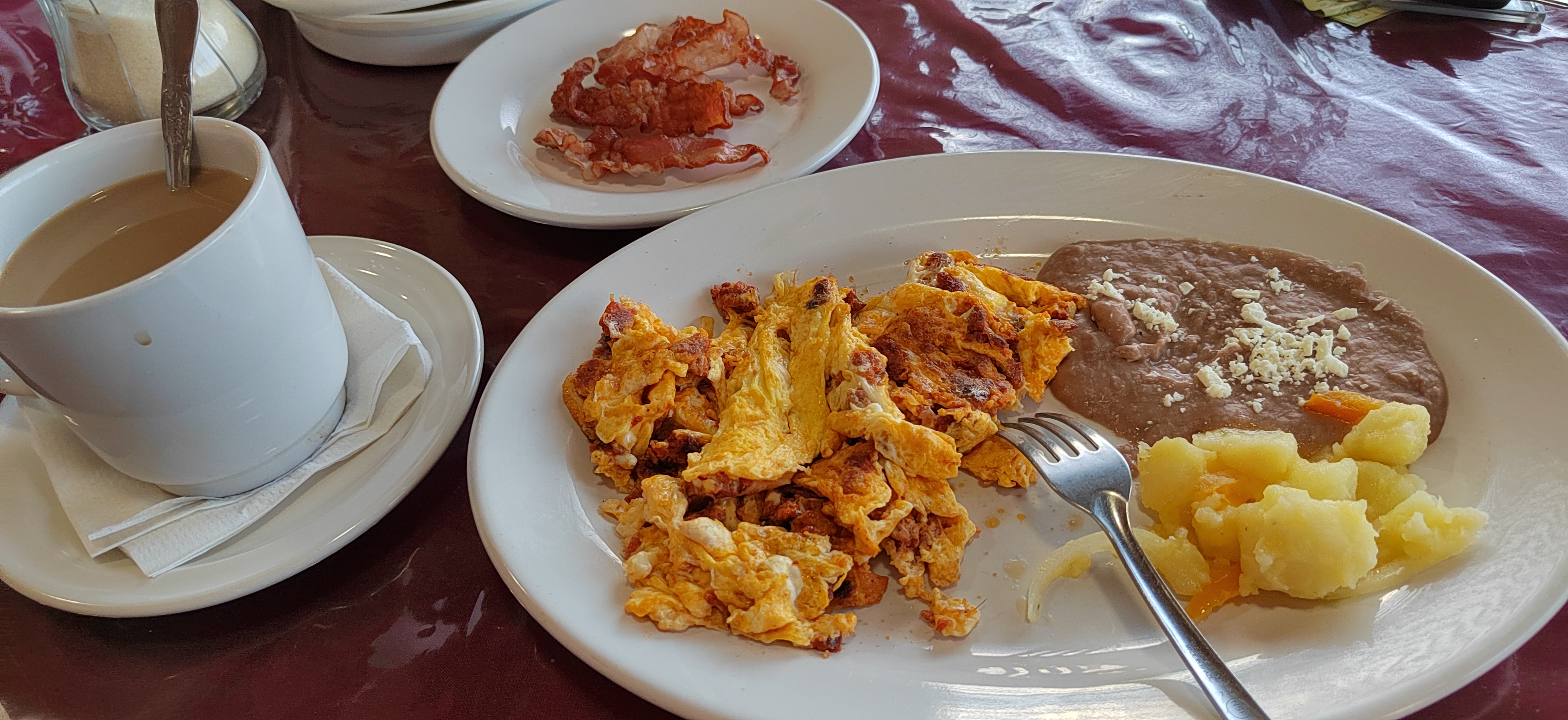 Restaurant Baja Terra image 2