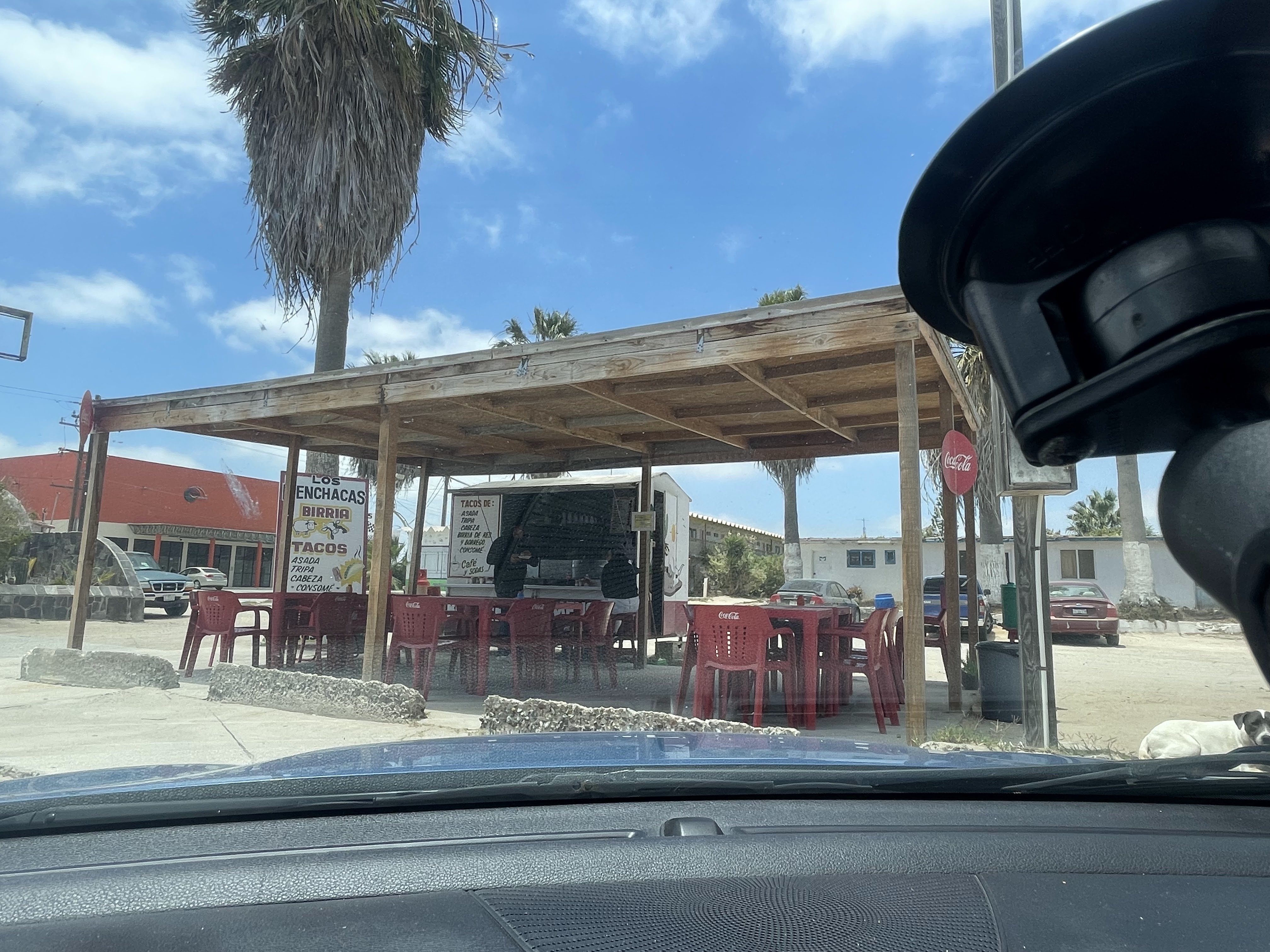 Tacos de guisado tita image 3