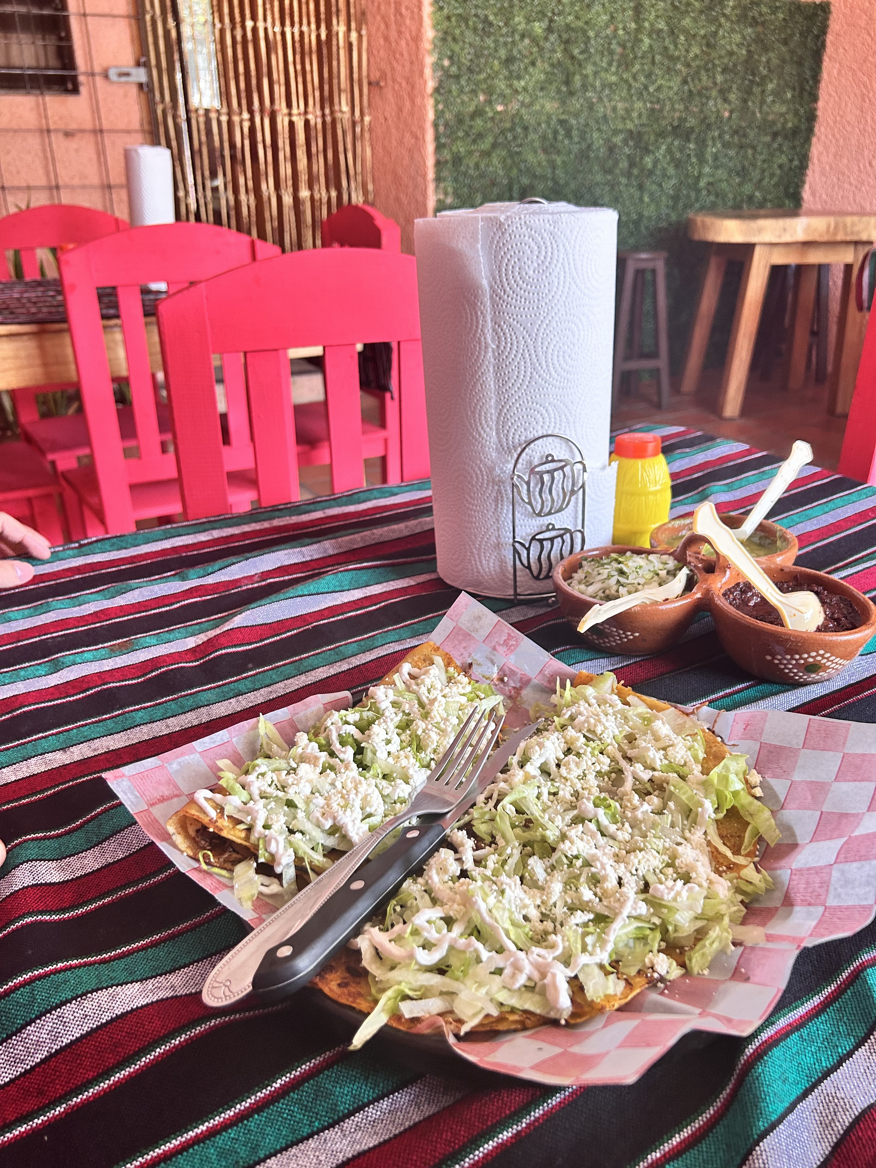 Birria Los Guaches image 1