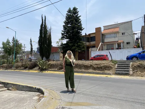 Platillos image 1