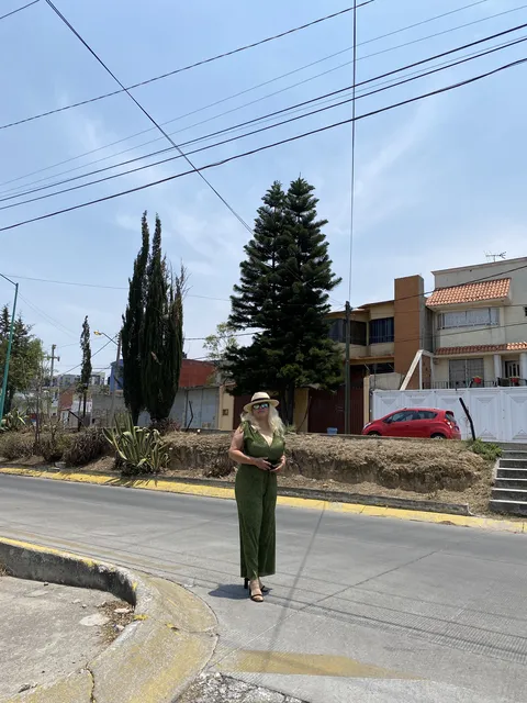 Platillos image 3