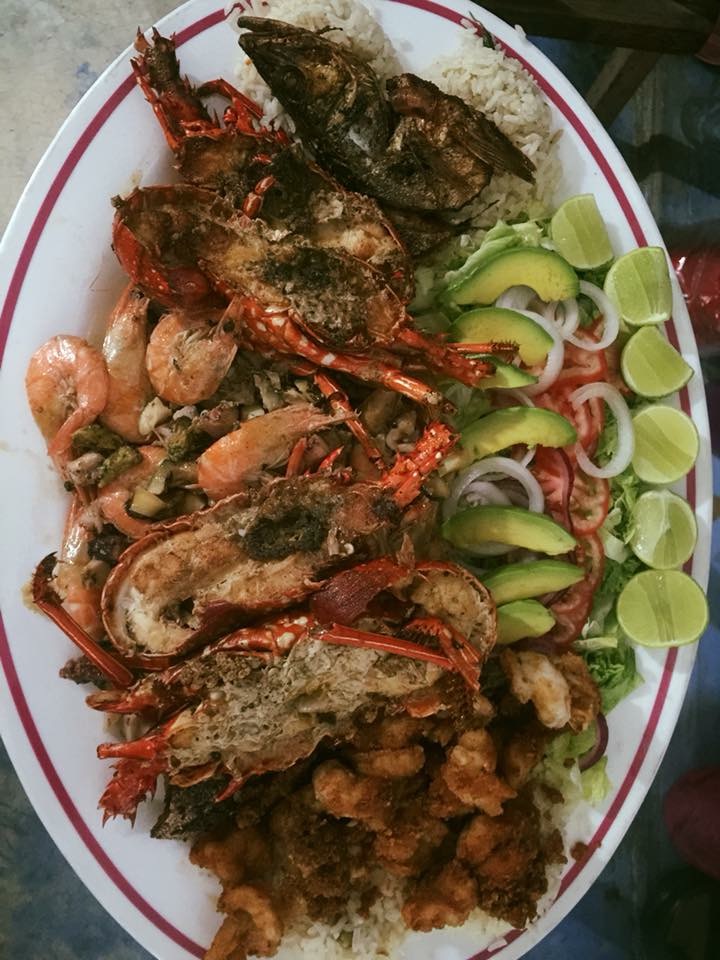 El Arca de Noe image 8