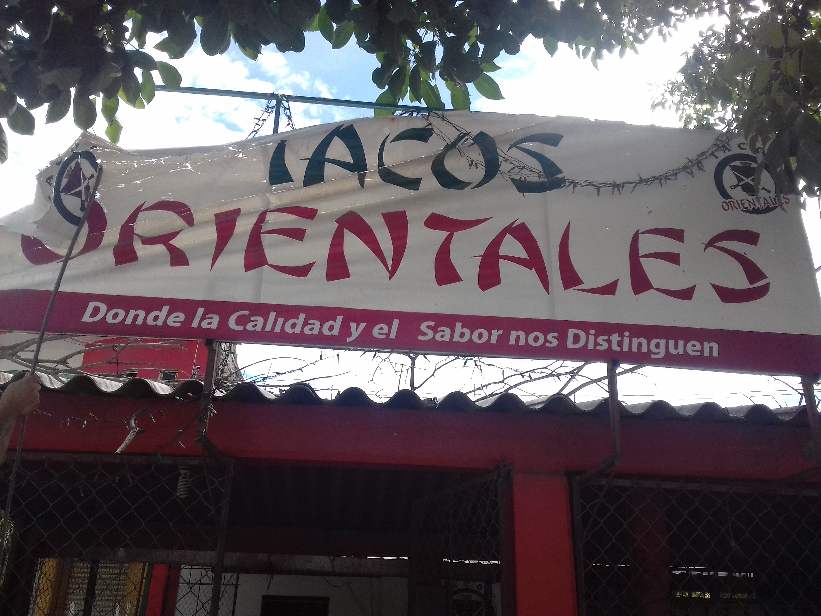 tacos orientales image 4