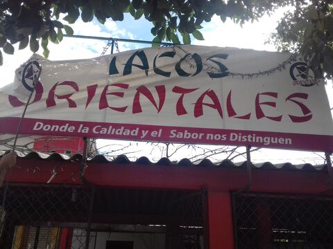 tacos orientales image 4