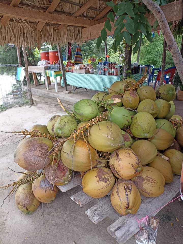 Los Pinches COCOS image 1