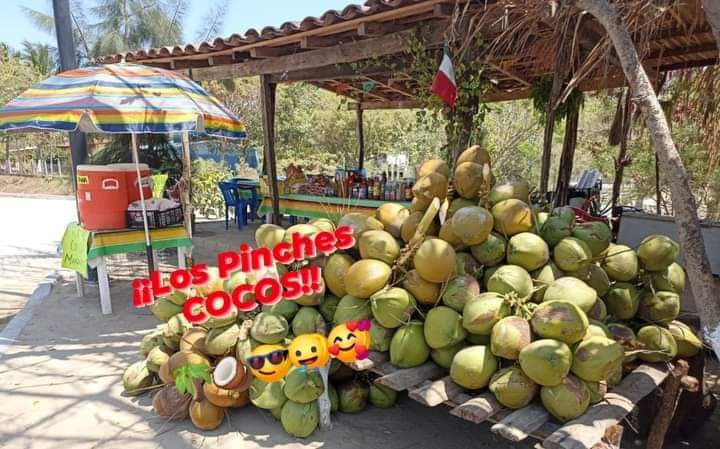 Los Pinches COCOS image 3
