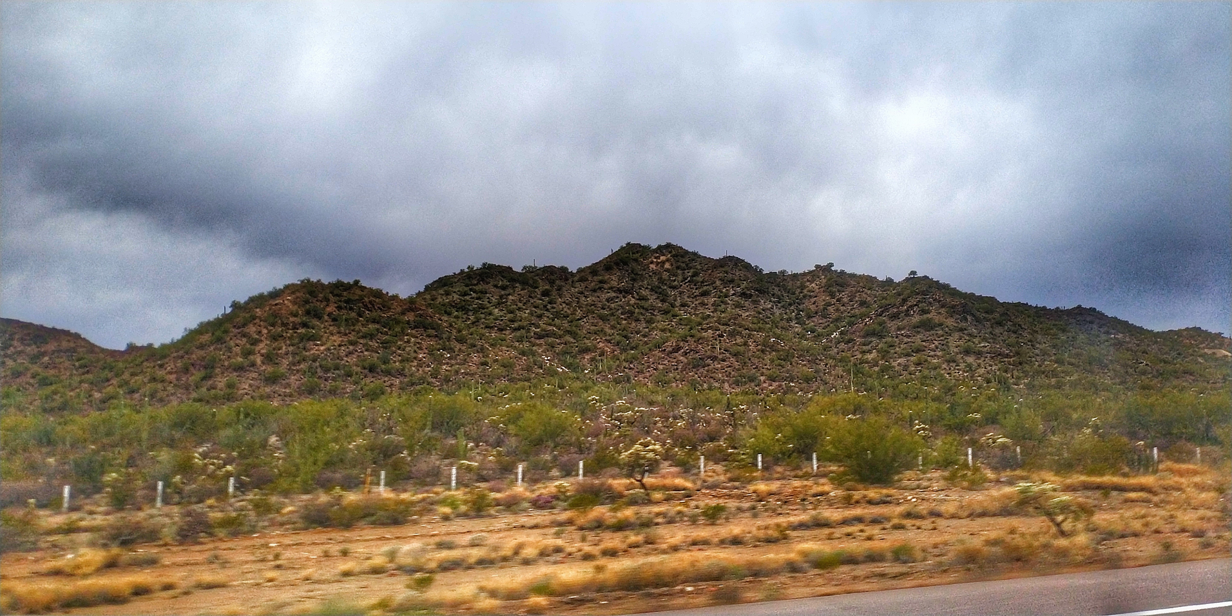 COFFE GARDEN image 5