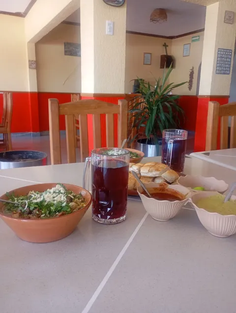 TACOSAURIO image 4