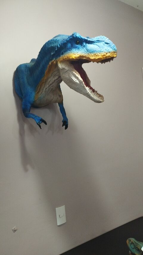 TACOSAURIO image 7