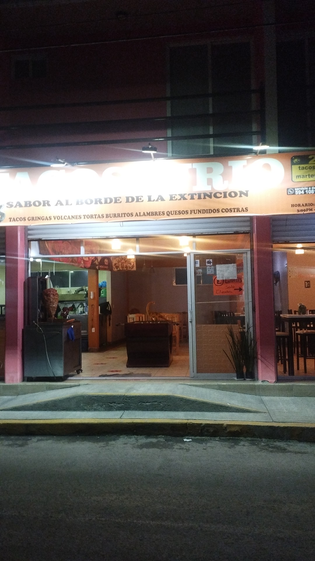 TACOSAURIO image 8
