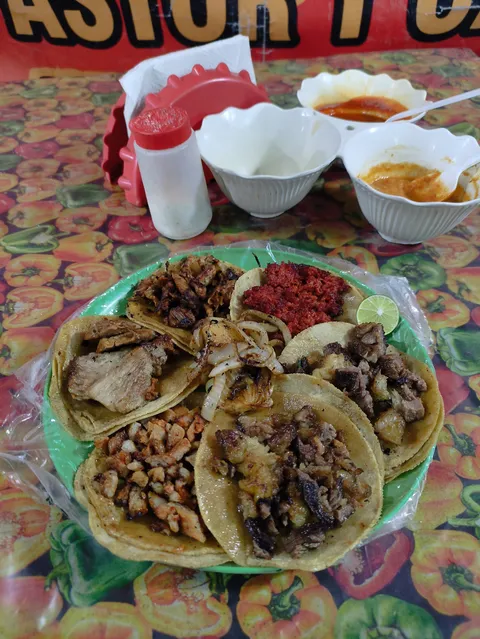Lord Taquero. image 6