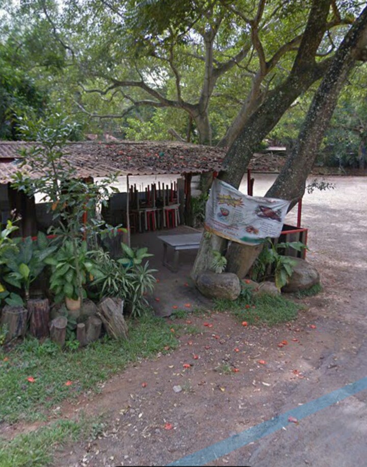 Restaurante "La Higuera" image 5